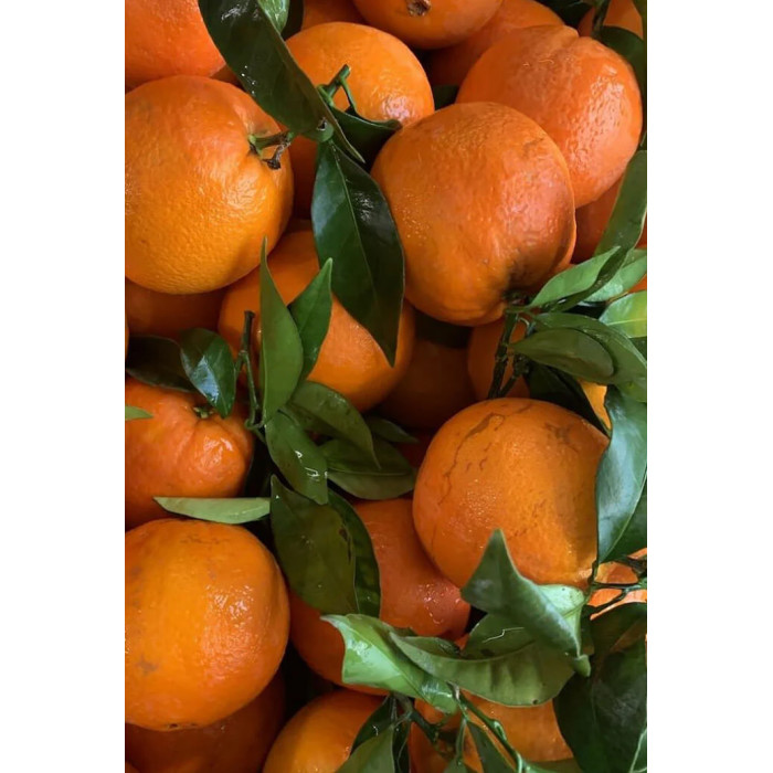 Marmelade 3 agrumes - Lemon Story