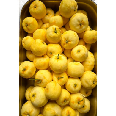 Sel au yuzu 80g - Lemon Story
