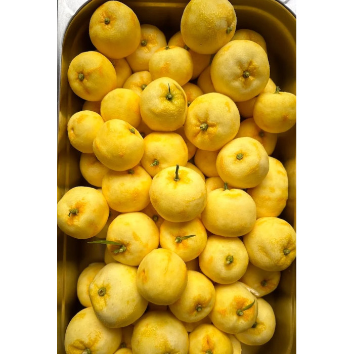 Sel au yuzu 80g - Lemon Story