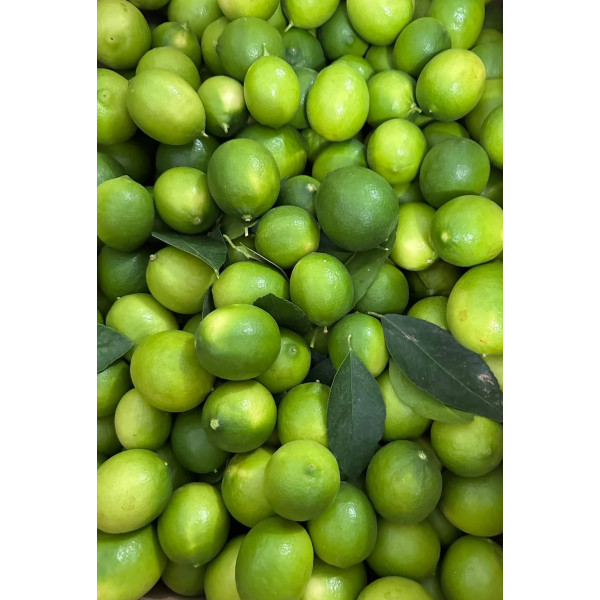 Liqueur Lime de Tahiti 50cl - Lemon Story