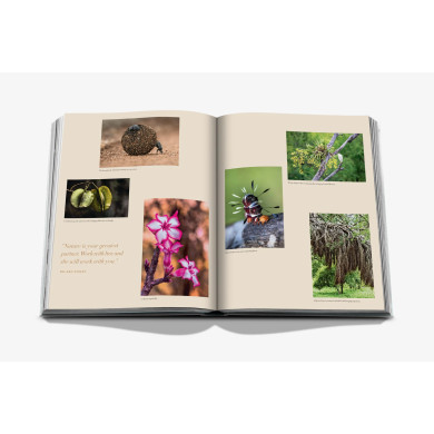 Londolozi: The Safari that Changed Everything - Assouline