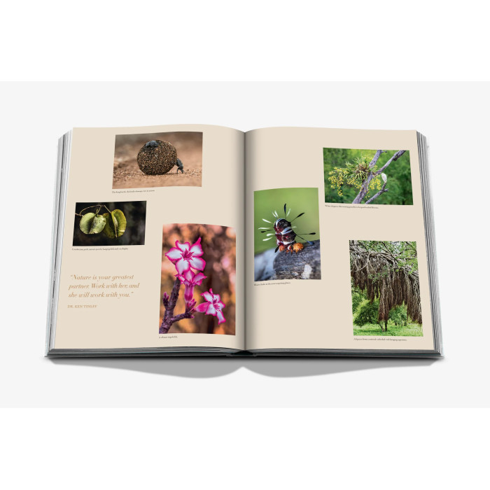 Londolozi: The Safari that Changed Everything - Assouline