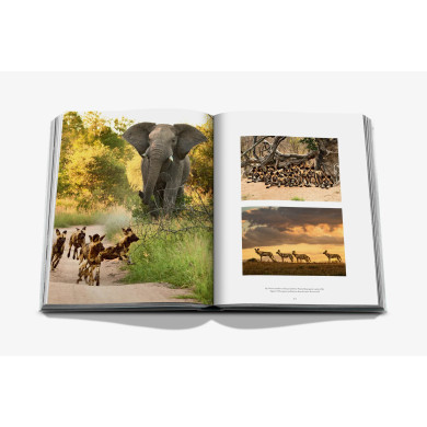 Londolozi: The Safari that Changed Everything - Assouline