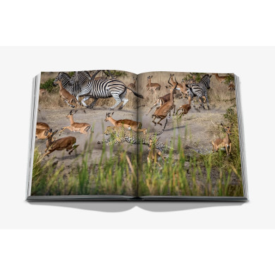Londolozi: The Safari that Changed Everything - Assouline