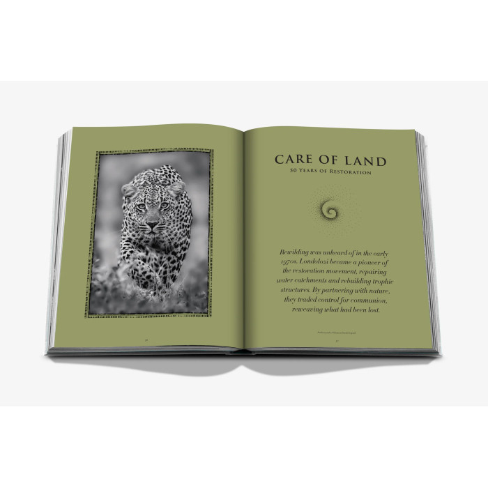 Londolozi: The Safari that Changed Everything - Assouline