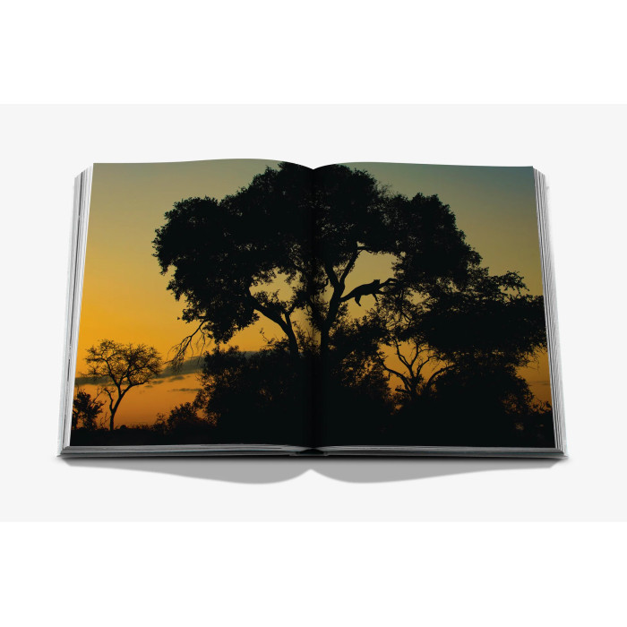 Londolozi: The Safari that Changed Everything - Assouline