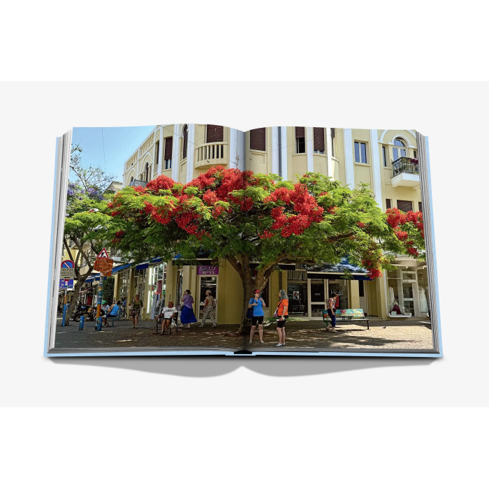 Tel Aviv Spirit - Assouline