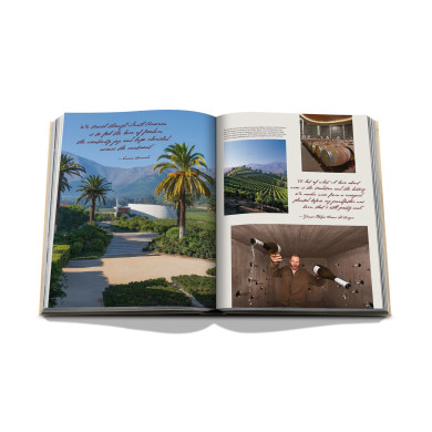 Wine & Travel Latin America - Assouline