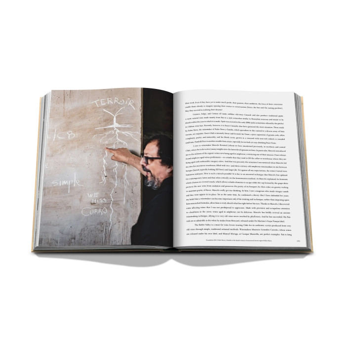 Wine & Travel Latin America - Assouline
