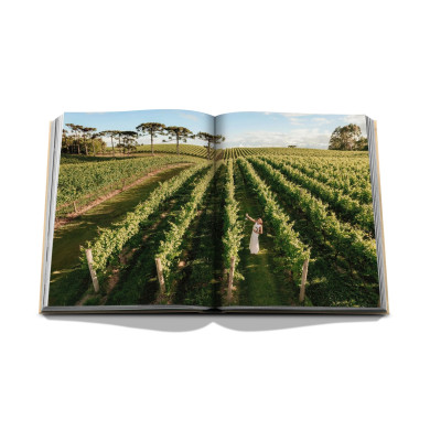 Wine & Travel Latin America - Assouline
