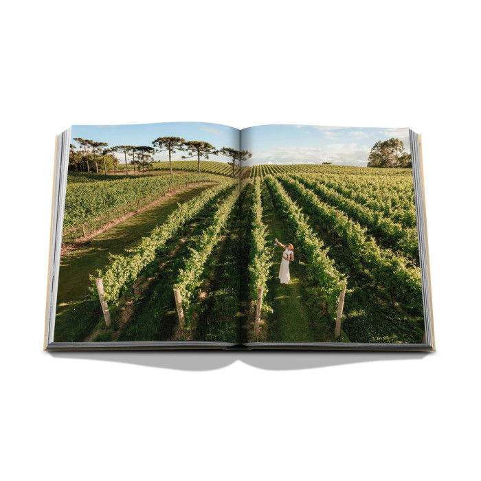 Wine & Travel Latin America - Assouline