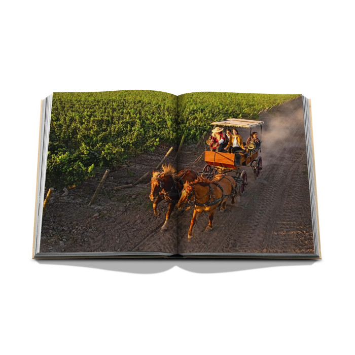 Wine & Travel Latin America - Assouline