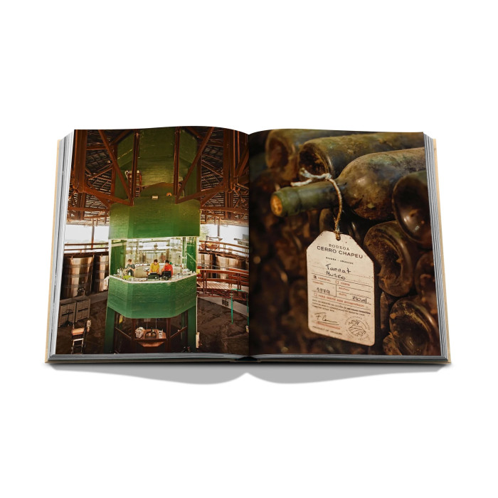 Wine & Travel Latin America - Assouline
