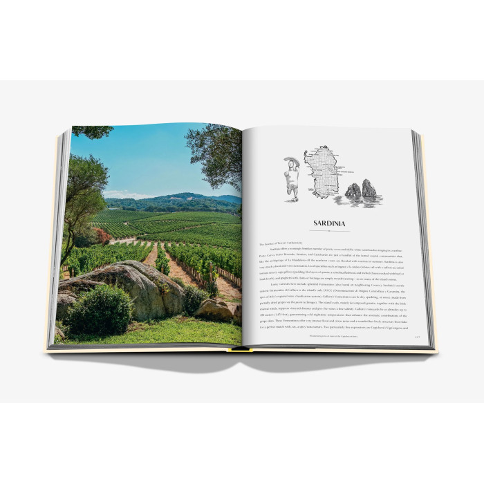 Wine & Travel Mediterranean Islands - Assouline