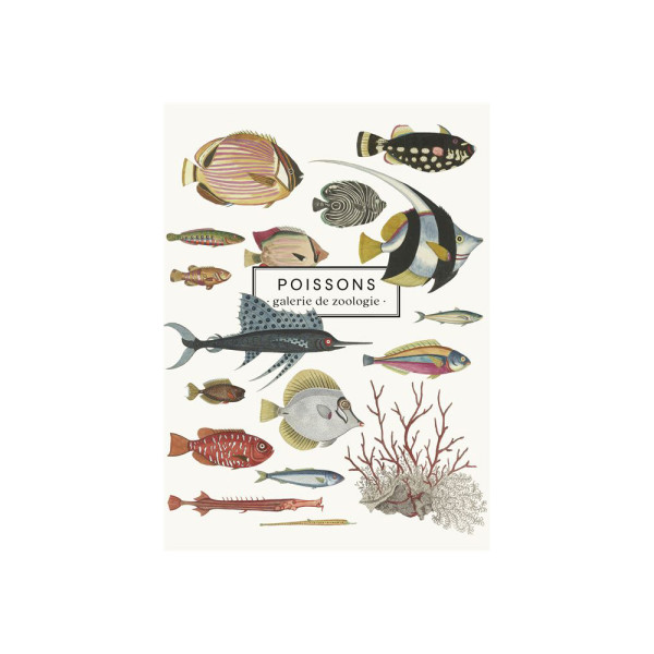Carnet Poissons - galerie de zoologie