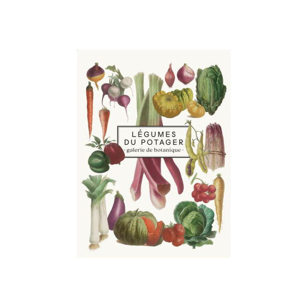 Carnet Légumes du potager - galerie de botanique