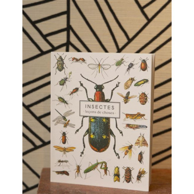 Carnet Insectes - leçons de choses