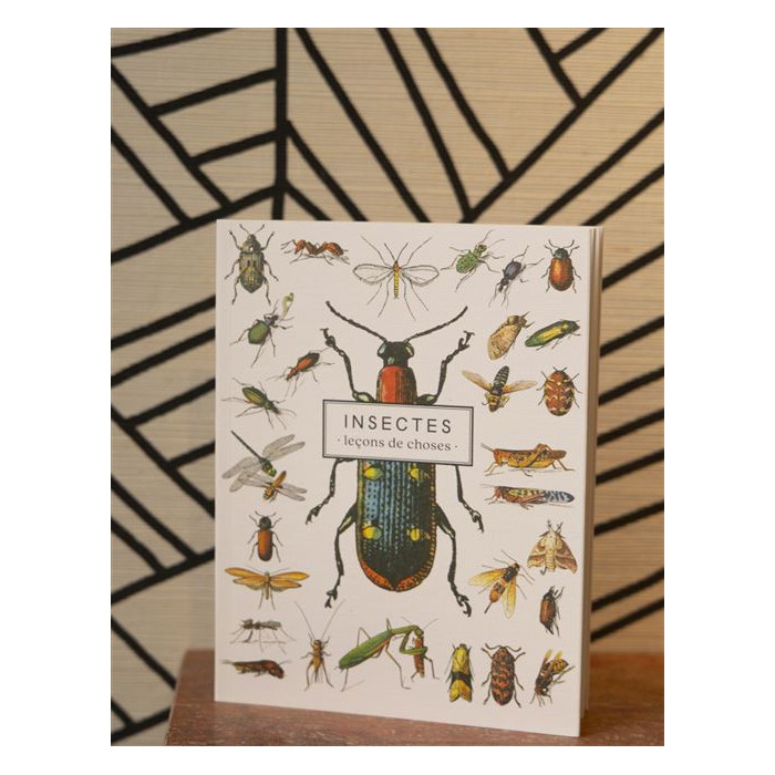 Carnet Insectes - leçons de choses