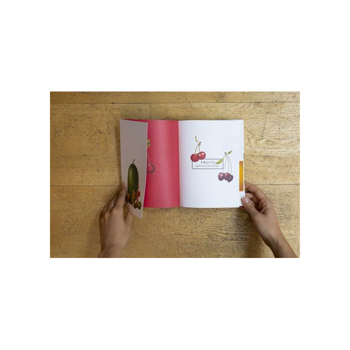 Carnet Fruits - galerie de botanique