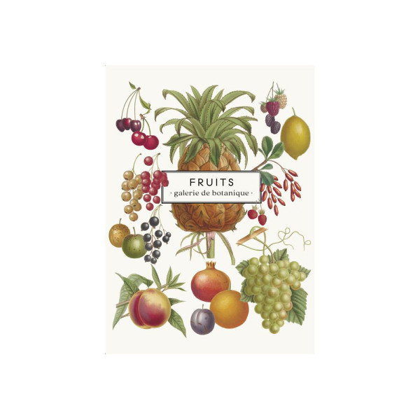 Carnet Fruits - galerie de botanique