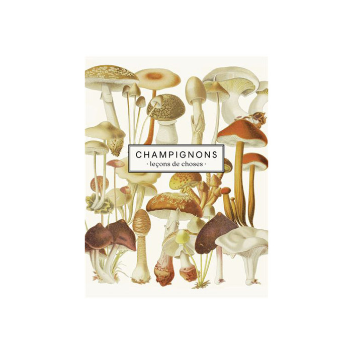Champignons : Leçons de choses