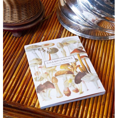 Champignons : Leçons de choses