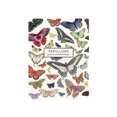 Papillons : Galerie d'entomologie