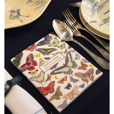 Papillons : Galerie d'entomologie