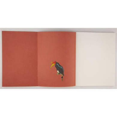 Oiseaux : Leçons de choses