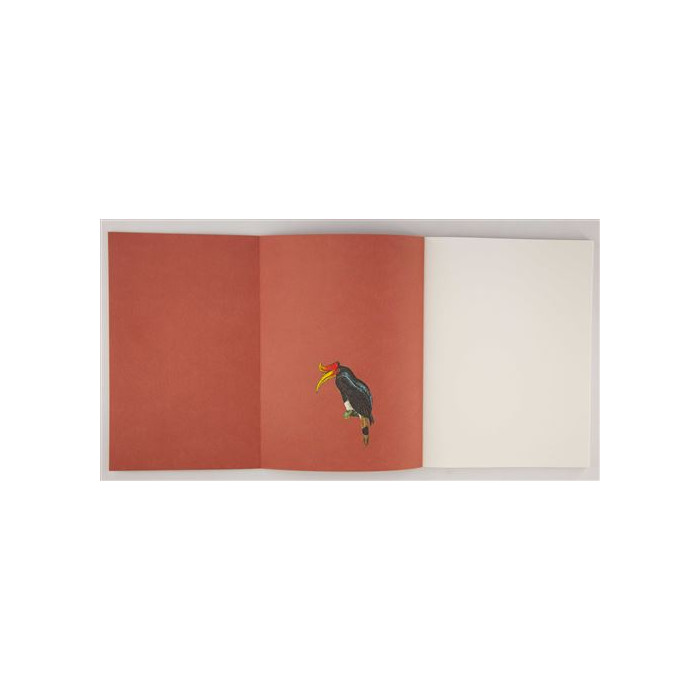 Oiseaux : Leçons de choses