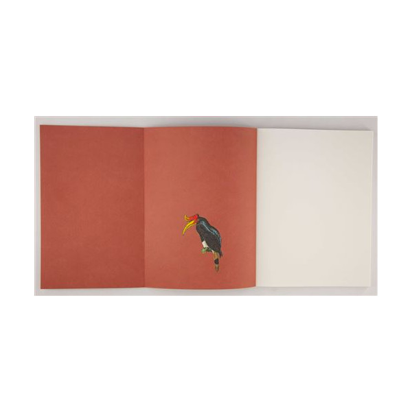 Oiseaux : Leçons de choses