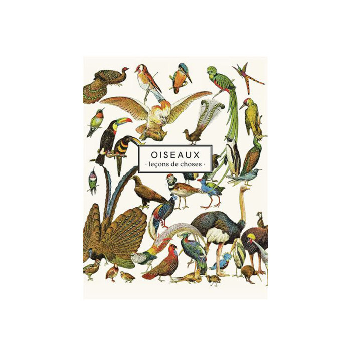 Oiseaux : Leçons de choses