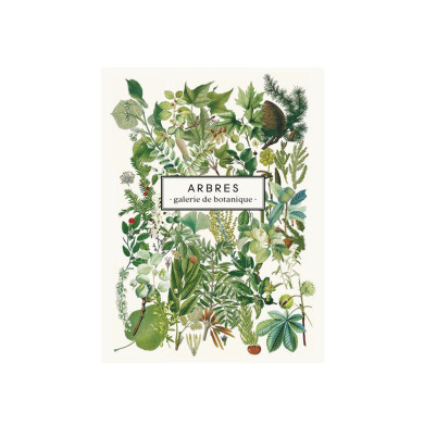 Arbres : Galerie de botanique