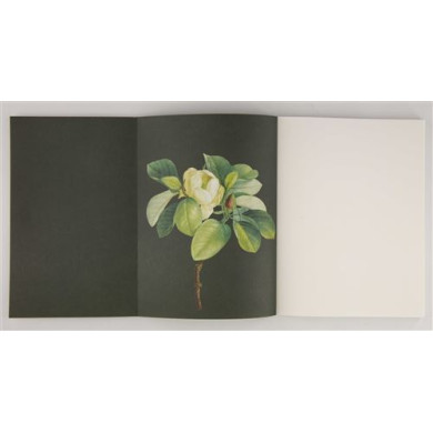 Arbres : Galerie de botanique