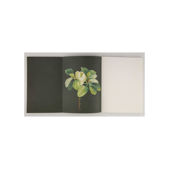 Arbres : Galerie de botanique