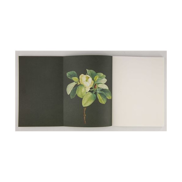 Arbres : Galerie de botanique