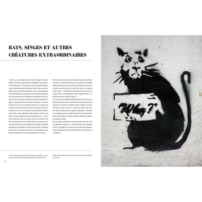 Banksy : Portrait non autorisé
