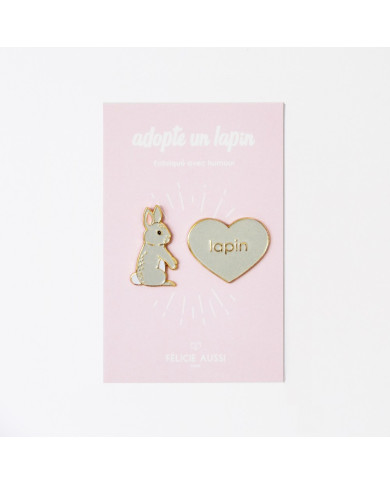 Lapin pin's