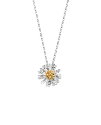 Collier de fleurs sauvages Plaqué argent