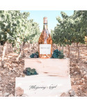 Magnum Whispering Angel, Côtes de Provence 2020 - 1,5L
