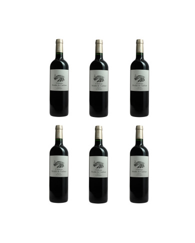 Château Moulin de Canhaut, Médoc 2015 - Case of 6 bottles