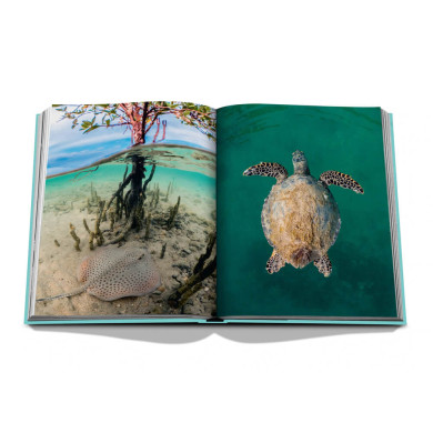 Red Sea : The Saudi Coast Red Sea : The Saudi Coast