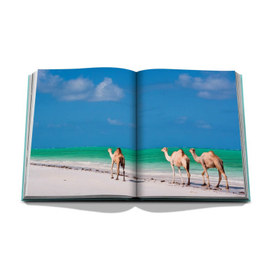 Red Sea : The Saudi Coast Red Sea : The Saudi Coast