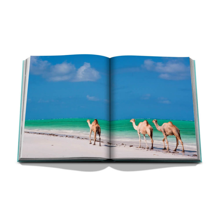 Red Sea : The Saudi Coast Red Sea : The Saudi Coast